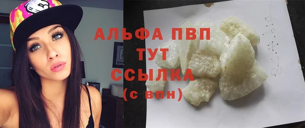 стафф Новозыбков