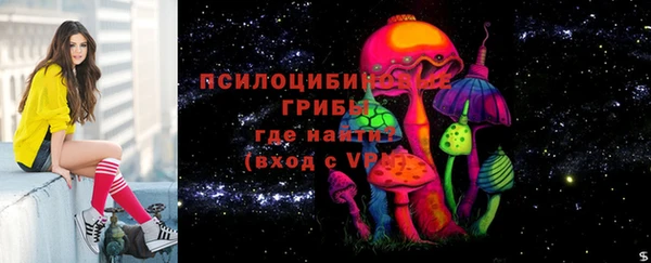 COCAINE Гусь-Хрустальный