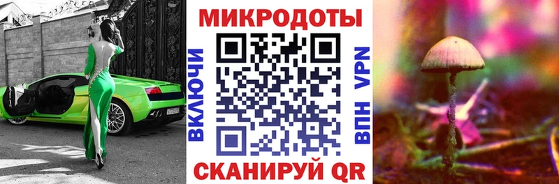 Псилоцибиновые грибы Cubensis  blacksprut вход  Пионерский  закладка 